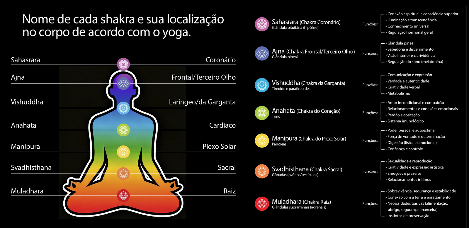 Os Sete Chakras Horizontal